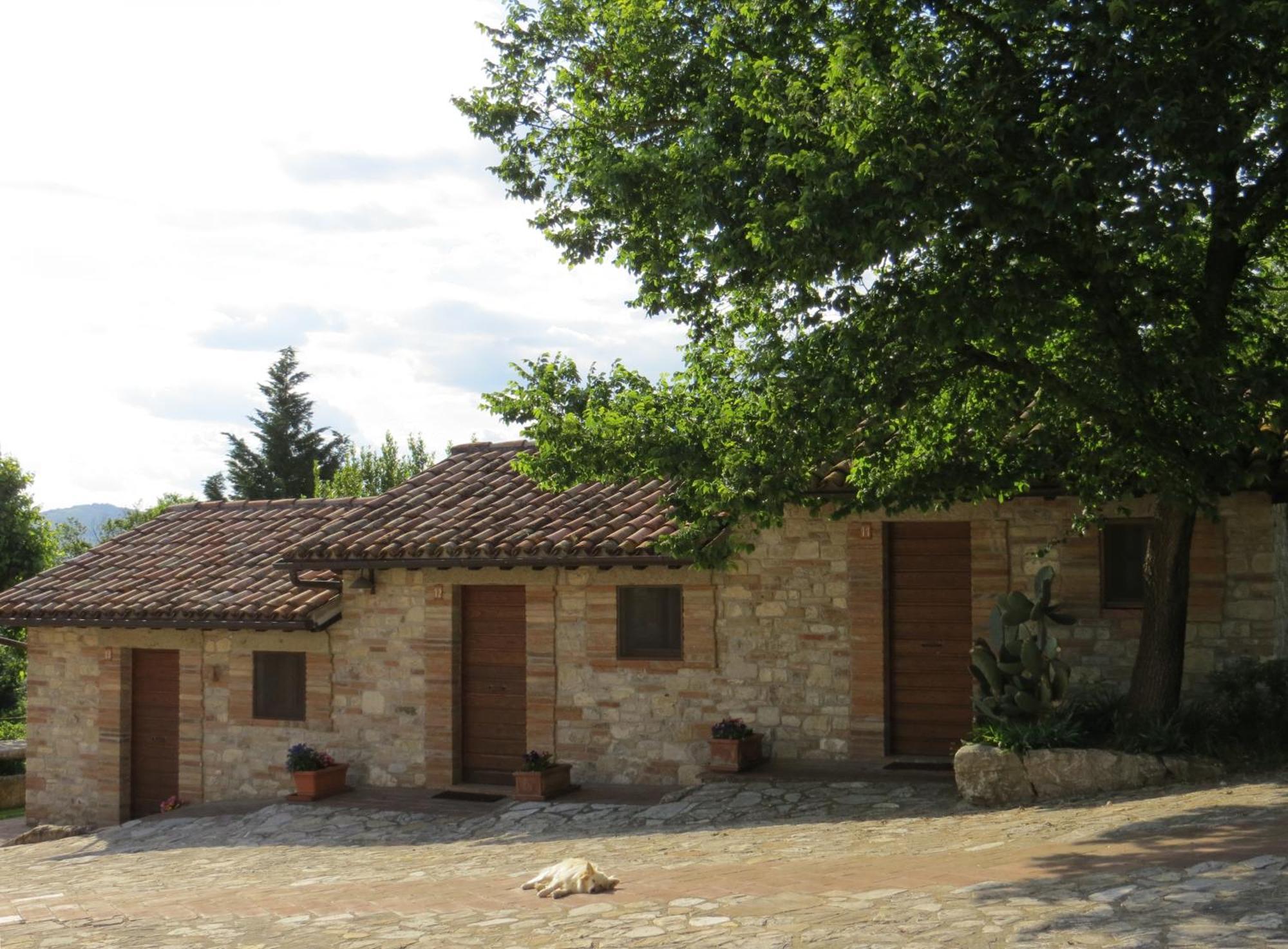 Agriturismo Casale Delle Lucrezie Todi Zewnętrze zdjęcie